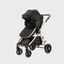 Strollers.webp