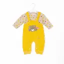 WhatsApp Image 2025-11-04 at 10.20.04 AAM.webp