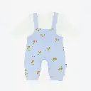 20251106_1010_White Background_.webp