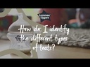 youtube - [Video]