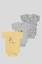 5213-73.webp