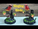 youtube - [Video]