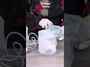 youtube - [Video]