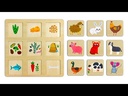 youtube - [Video]