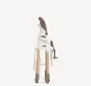 1000634450.webp