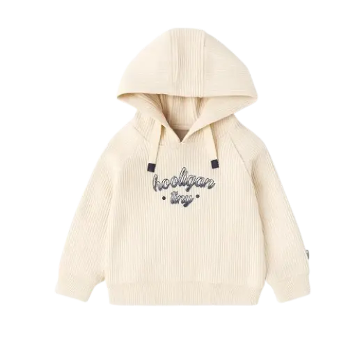 Hoodie 5311