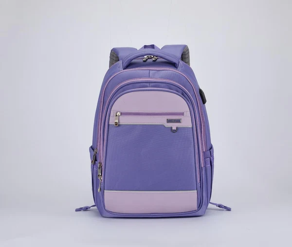 BAG B.Z 5251 light purple size(20)