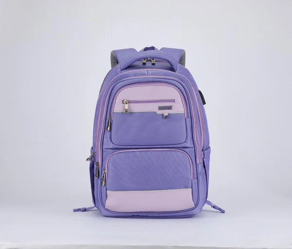 BAG B.Z 5252 purple size(20)