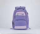 BAG B.Z 5252 purple size(20)