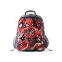 BAG B.Z 995 gray sbider man size (16)