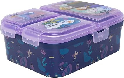 FROZEN  XL MULTI COMPARTMENT RECTANGULAR SANDWICH BOX 74299