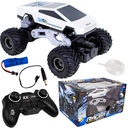 Fast Racer Tesla R/C Car 666-868-fa