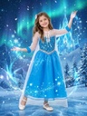 Elsa Costume 3D 1061/62/63