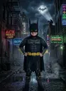 Batman Costume 3D 1007/8/9