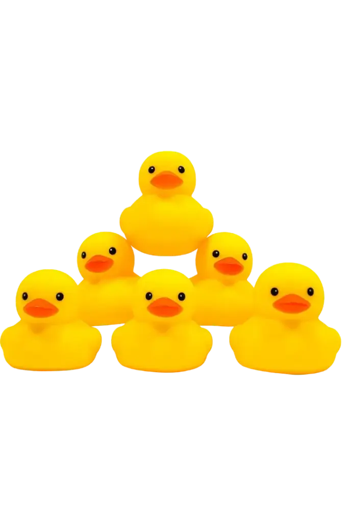 baby yellow ducks 6x1