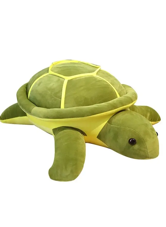SOFT TURTLE