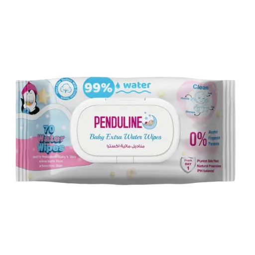 [11403] penduline Wet wipes Water Extra 70 wipes