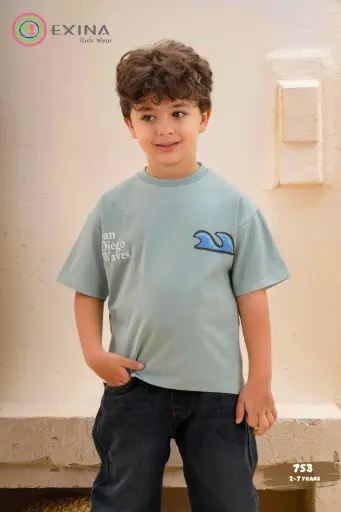 Boys' T-Shirt (Style: 753)