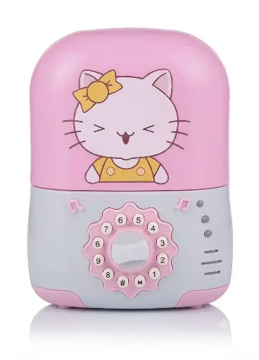 [26484] SAVING PASSWORD BOX KITTY JD668