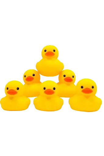 [11877] baby yellow ducks 6x1