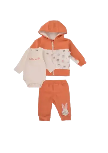 [10789] Set  3pieces Hya 273-24