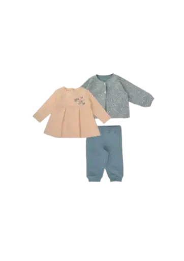 [10810] فراشة 742-24