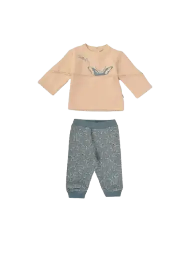 [10808]  Butterfly740-24