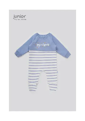 [2900]  Blue Stripe321-24