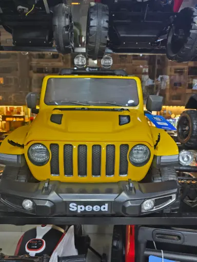 [20232] Electric Car 11351