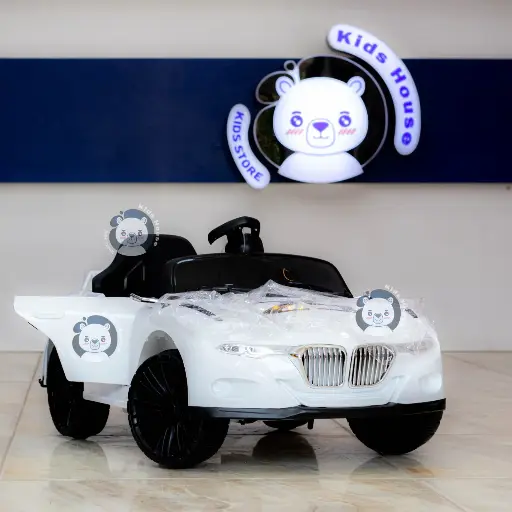 [5281] Electric Car107731/182